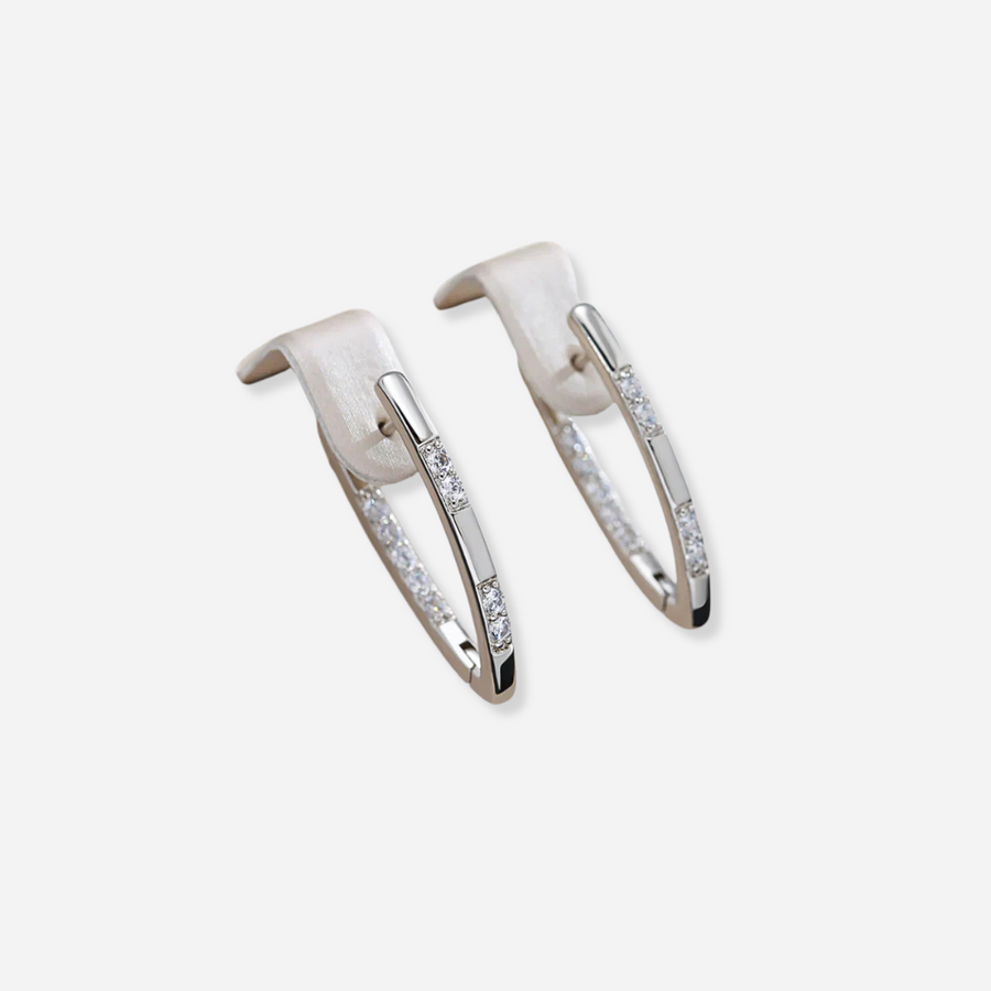 Elegant Hoop Zirconia Earrings