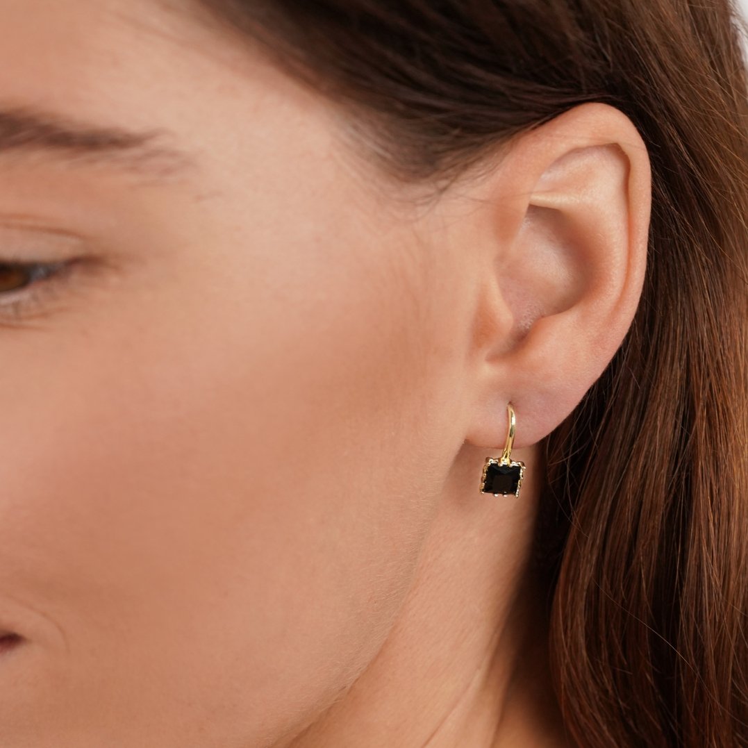 Dark Crystal Drop Earrings