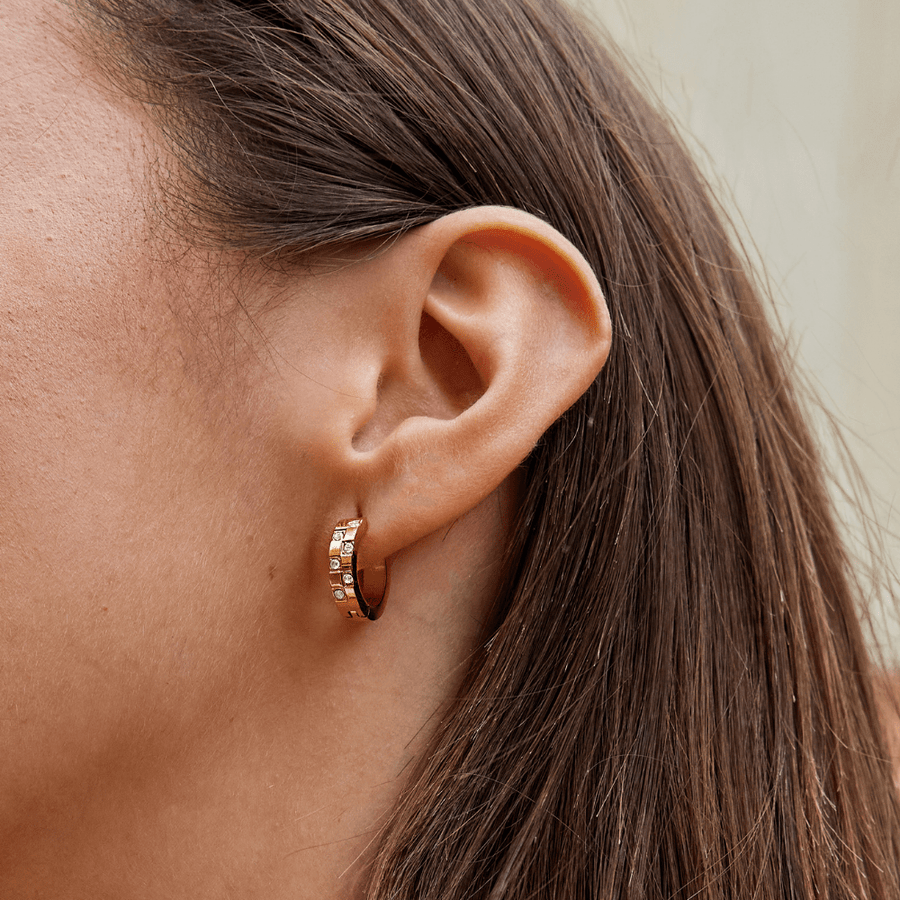 Tasha Crystal & Gold Hoop Earrings